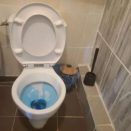 Pres Du Jardin Des Explorateurs Apartament Brest